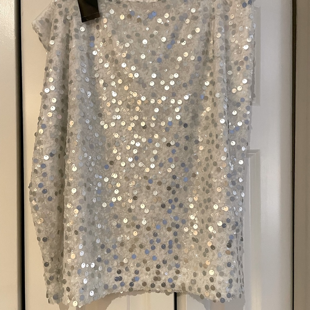 Skirt A-line, sequined and beaded.